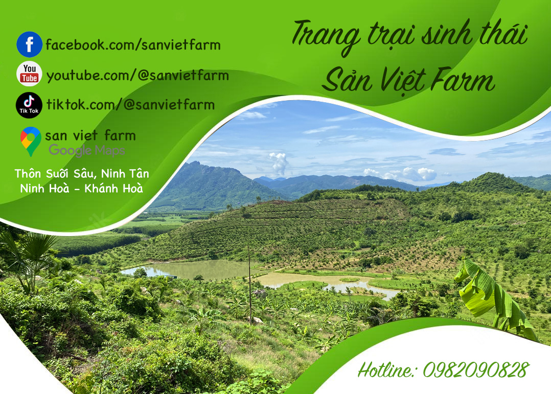 Giới thiệu Sản Việt Farm